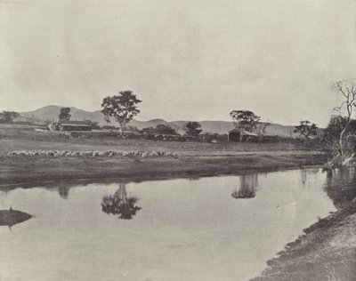 Nemengha Station by English Photographer