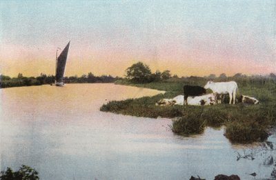 On the Bure by English Photographer