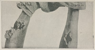 Photograph from the essay 