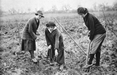 Pleasant, Profitable, Patriotic: On a Fruit-Farm at Letchmore Heath, Near St. Albans by English Photographer