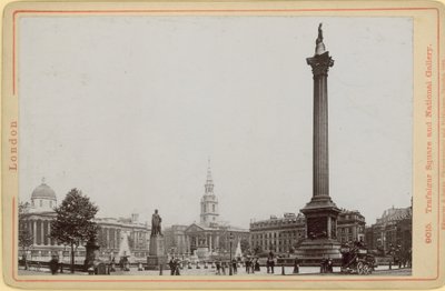 Image of Nelson