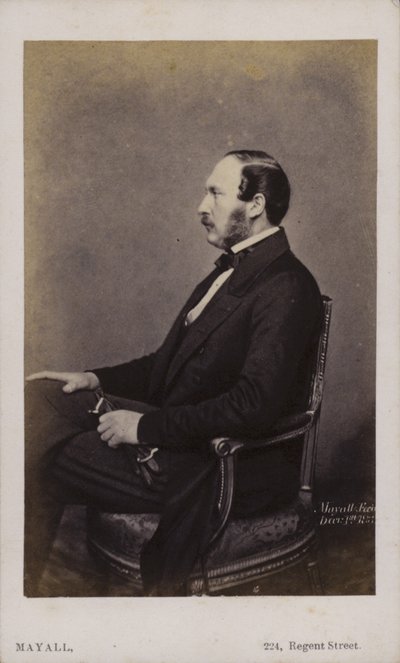 Prince Albert by English Photographer
