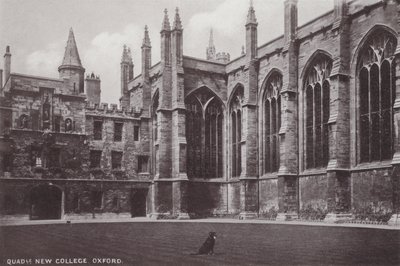 Quadrangle, New College, Oxford by English Photographer