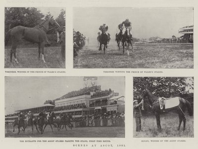 Scenes at Ascot, 1901 by English Photographer