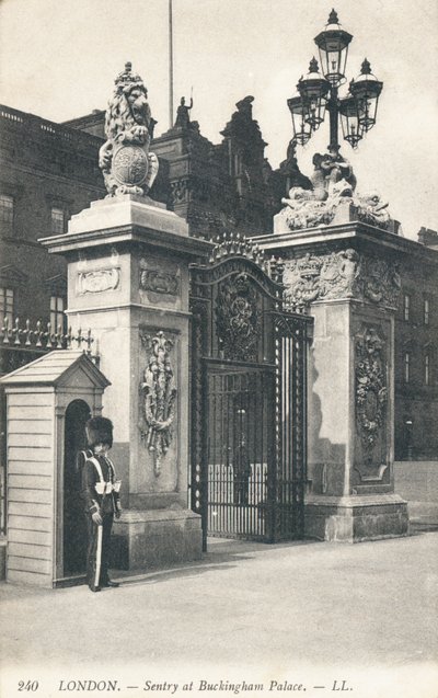 Sentry at Buckingham Palace by English Photographer