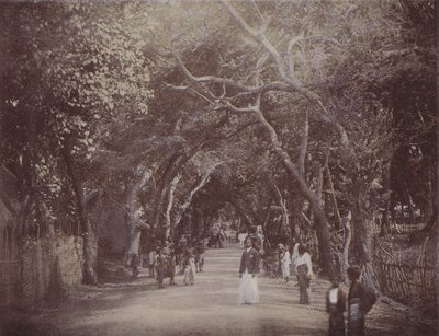 Skinners Road, Colombo by English Photographer