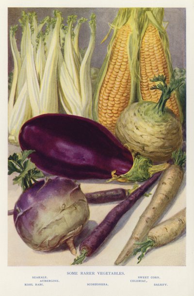 Some rarer vegetables by English Photographer