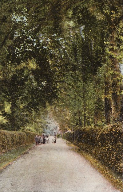 Spencer Road, Ryde by English Photographer