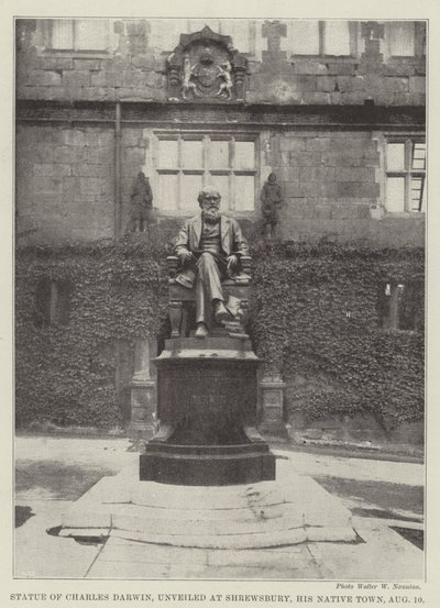Statue of Charles Darwin, Unveiled at Shrewsbury, His Native Town, 10 August by English Photographer