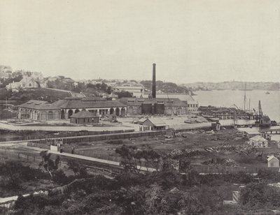 Sunlight Soap Company