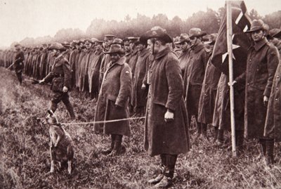 The Anzac review on Salisbury Plain: an Australian mascot by English Photographer