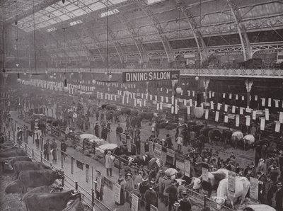 The Cattle Show, Royal Agricultural Hall by English Photographer