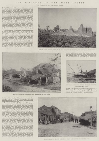 The Disaster in the West Indies by English Photographer