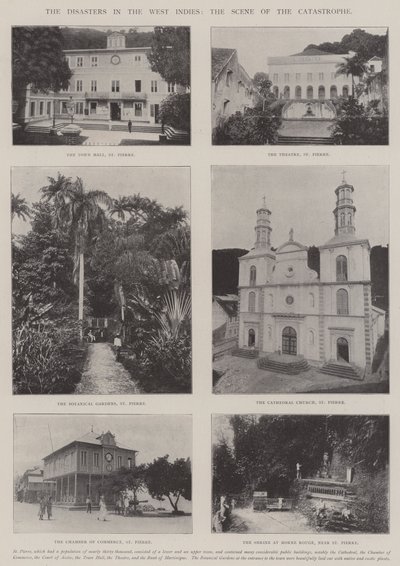The Disasters in the West Indies, the Scene of the Catastrophe by English Photographer