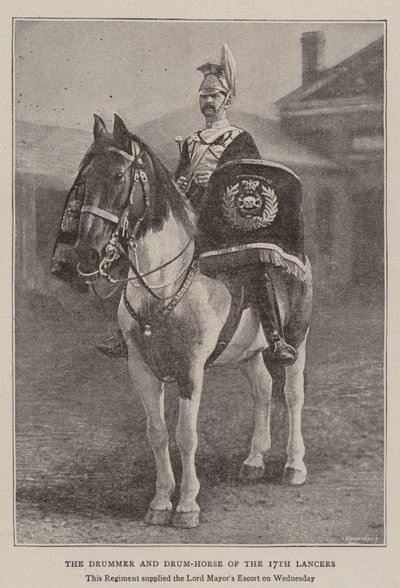 The Drummer and Drum-Horse of the 17th Lancers by English Photographer