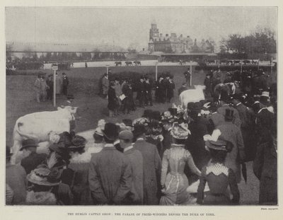 The Dublin Cattle Show, the Parade of Prize-Winners before the Duke of York by English Photographer