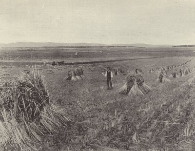 The Green Hills Farm by English Photographer