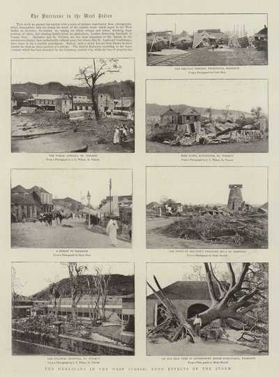 The Hurricane in the West Indies, Some Effects of the Storm by English Photographer