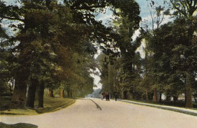 The Long Avenue, Coventry by English Photographer