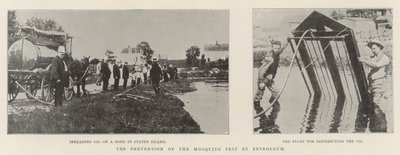 The Prevention of the Mosquito Pest by Petroleum by English Photographer