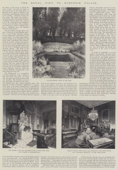 The Royal Visit to Blenheim Palace by English Photographer