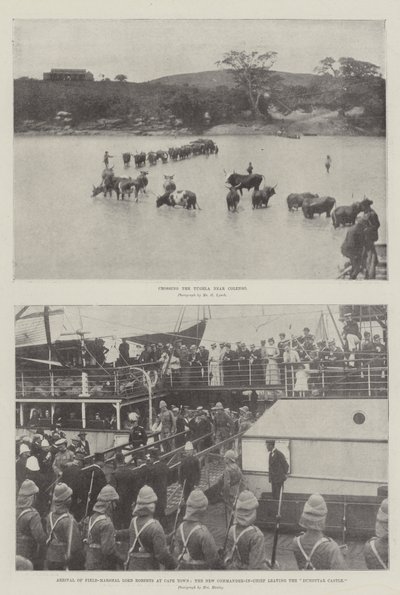 The War in the Transvaal by English Photographer