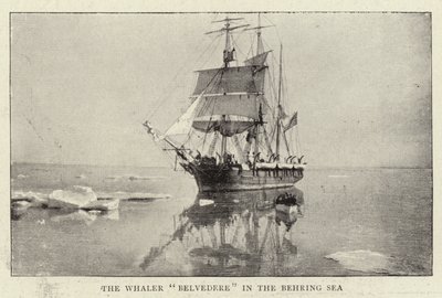 The Whaler Belvedere in the Behring Sea by English Photographer