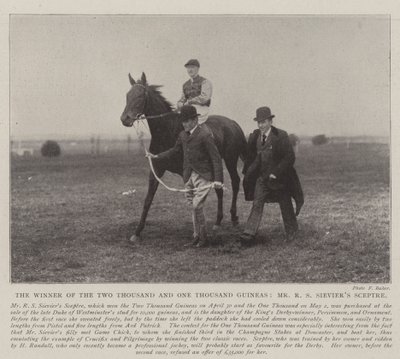 The Winner of the Two Thousand and One Thousand Guineas, Mr R S Sieviers Sceptre by English Photographer
