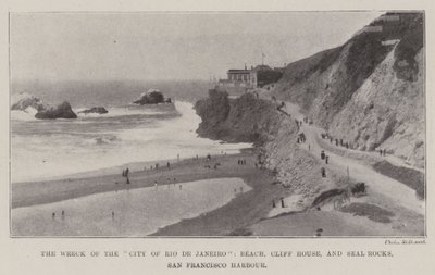 The Wreck of the City of Rio de Janeiro, Beach, Cliff House, and Seal Rocks, San Francisco Harbour by English Photographer
