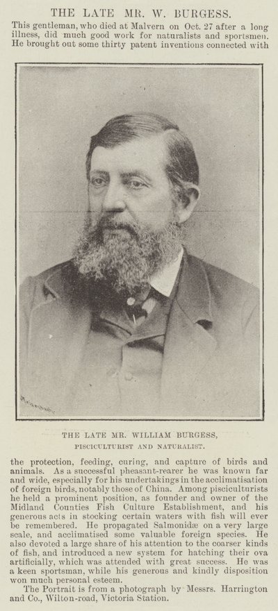 The Late Mr William Burgess, Pisciculturist and Naturalist by English Photographer