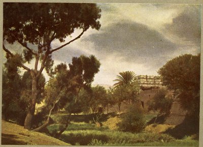 The outskirts of a village near Luxor, Egypt by English Photographer