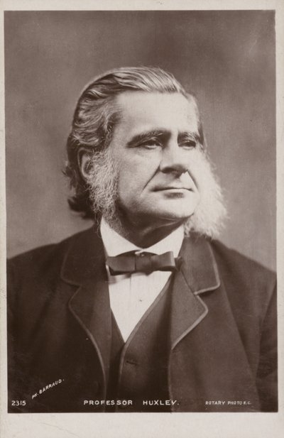 Thomas Henry Huxley (1825-1895), English biologist by English Photographer