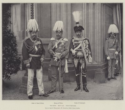 Three Royal Brothers by English Photographer