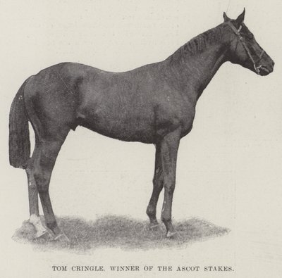 Tom Cringle, Winner of the Ascot Stakes by English Photographer