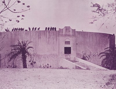 Tower of Silence, Bombay by English Photographer