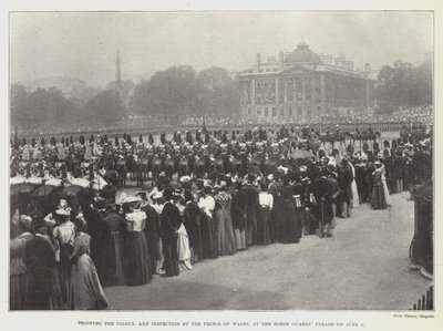 Trooping the Colour, and Inspection by the Prince of Wales, at the Horse Guards Parade on 3 June by English Photographer