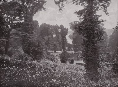 View from the Terrace Gardens, Richmond, looking Up-Stream by English Photographer