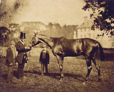 Wild Dayrell, Winner of the Derby in 1856 by English Photographer