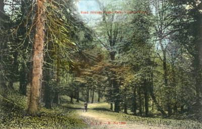 Windsor Great Park, Virginia Water by English Photographer