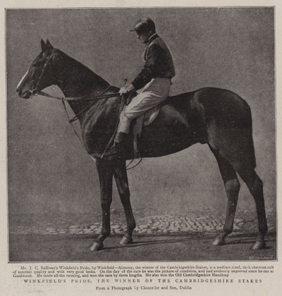 Winkfields Pride, the Winner of the Cambridgeshire Stakes by English Photographer