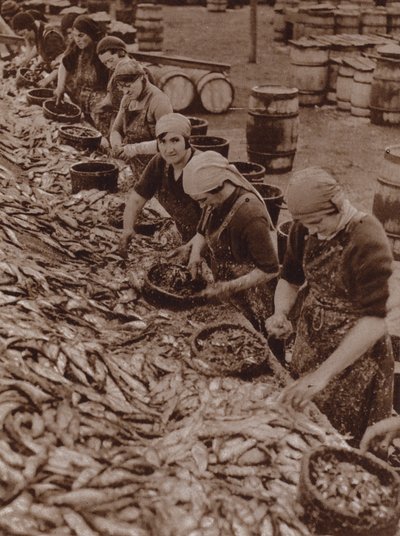 Women in Great Yarmouth splitting and cleaning herring by English Photographer