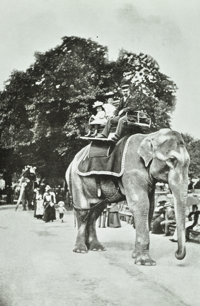 Zoological Gardens, Regents Park: Elephant Rides, London, c.1895 by English Photographer