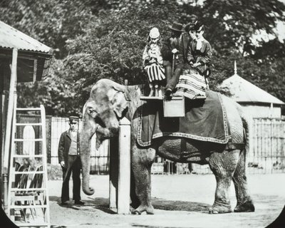 Zoological Gardens, Regents Park: Elephant with Adults and Children Having a Ride, London Zoo, 1894 by English Photographer