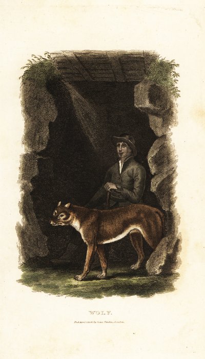 18th century English gentleman and his tame wolf, Canis lupus, in the entrance to a cave by English School