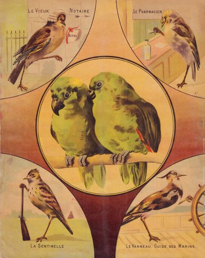 4th of cover: couple of birds and others birds, english by English School