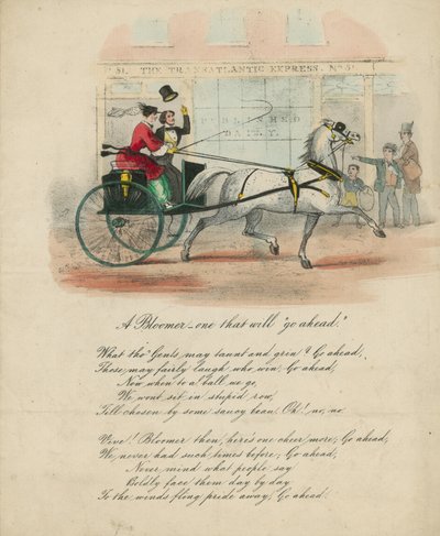 A Bloomer - One That Will Go Ahead by English School