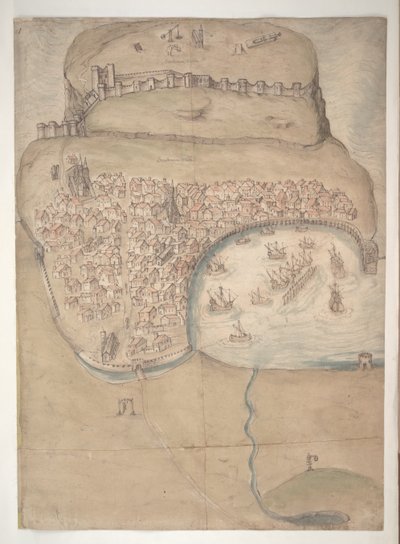 A Coloured Plan or Bird