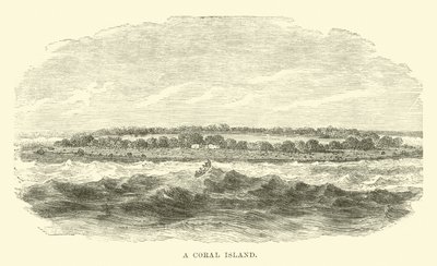 A Coral Island by English School