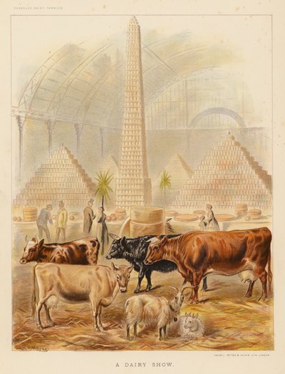 A Dairy Show by English School