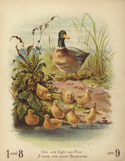 A Duck and Eight Ducklings by English School